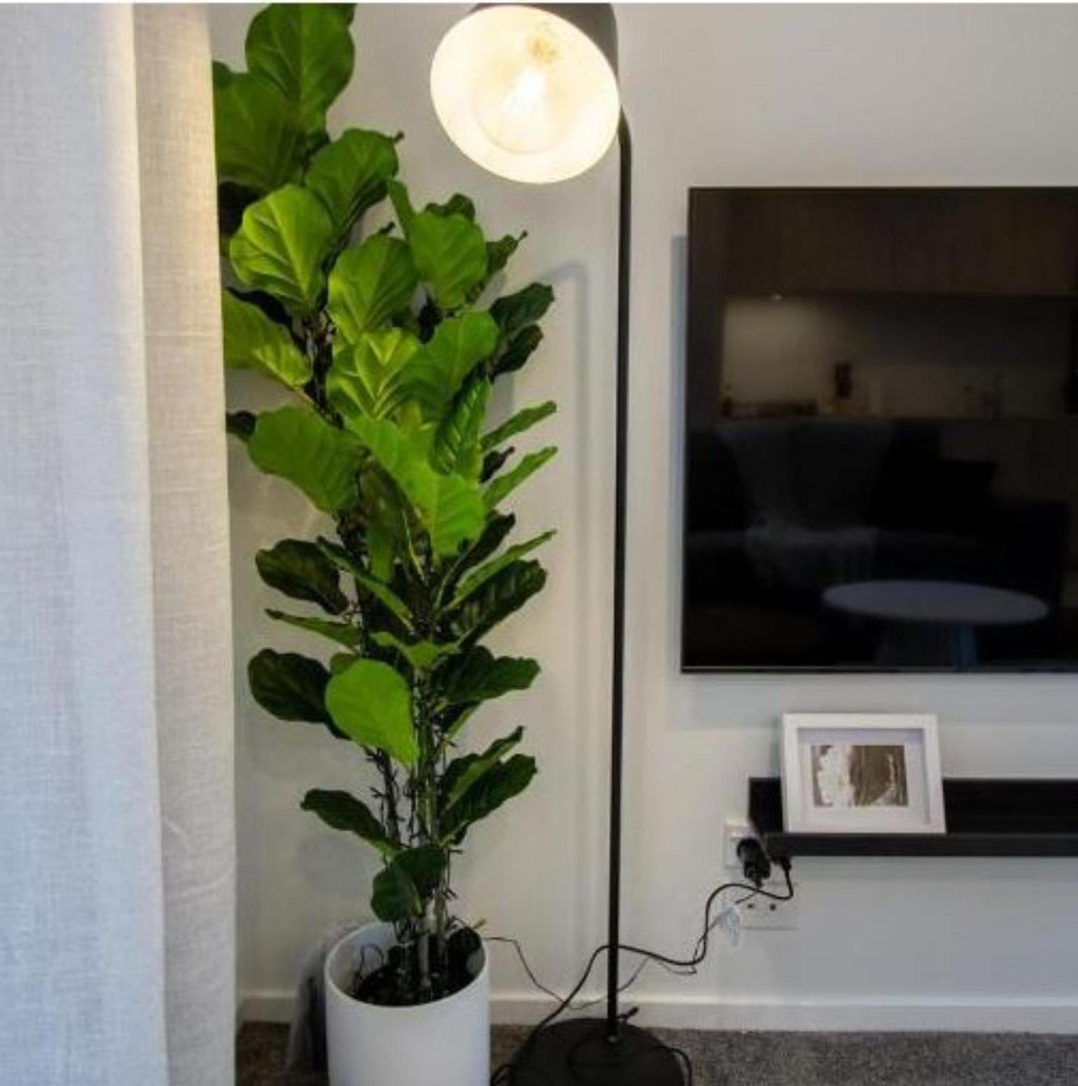 A Touch Of Luxury In Chch Cbd Apartman Christchurch Kültér fotó